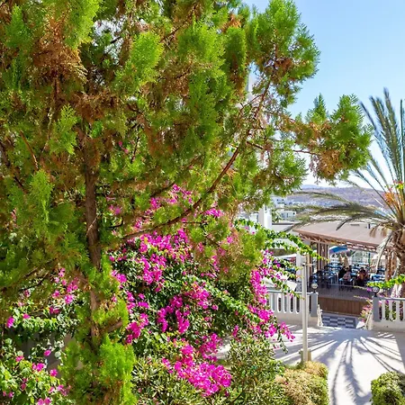 호텔 Smart Holiday Hotel & Suite Bodrum 4*