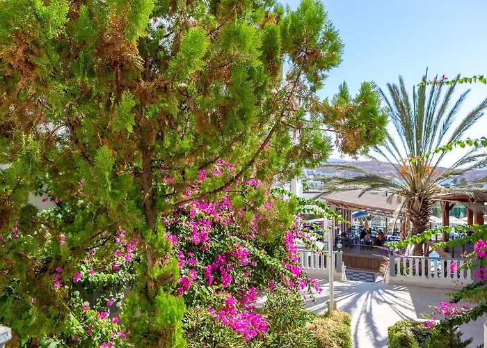 Hotel Smart Bodrum 4*
